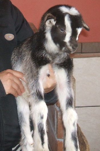 dscf0620.jpg