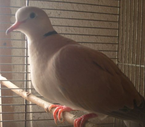 s7303008.jpg