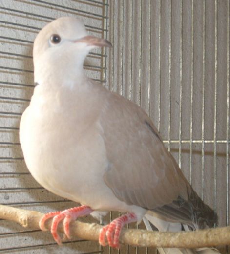 s7303010.jpg